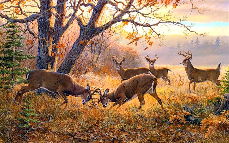 JESIENNE RÓŻNE - deers-in-autumn.jpg