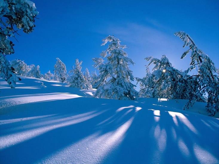 Krajobrazy - Snowy Shadows - 1600x1200 - ID 16.jpg