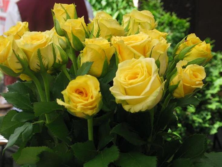 Róże żółte - kwiaty-bukiet4753.jpg.jpg