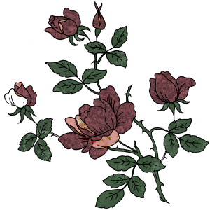 kwiaty IV - Yvette_RoseTingedShadow_floralstamp.png