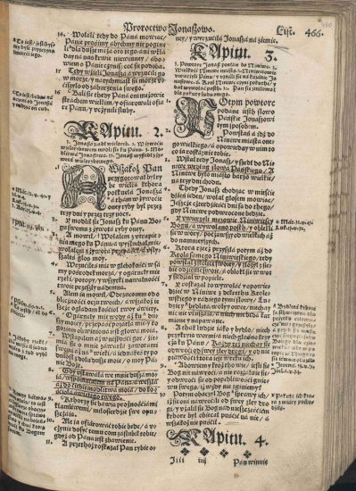 Biblia Brzeska 1563 Color 2000p JPGs - Biblia Brzeska 962.jpg
