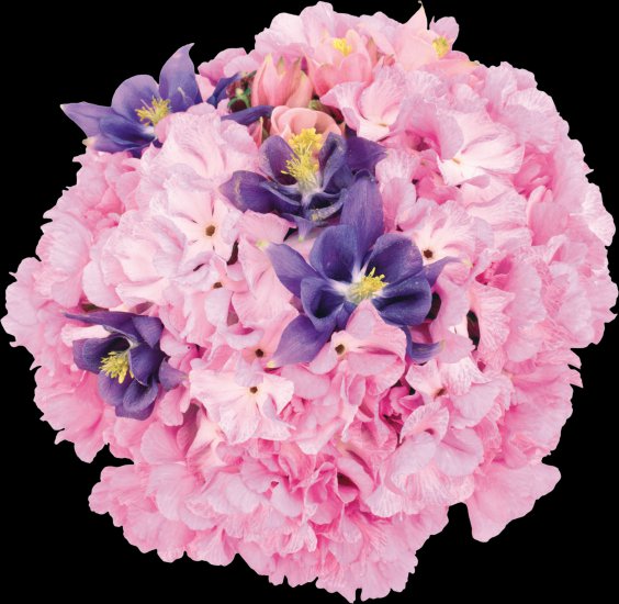 PNG - BUKIETY KWIATOWE - Bukiety kwiatów 33.png