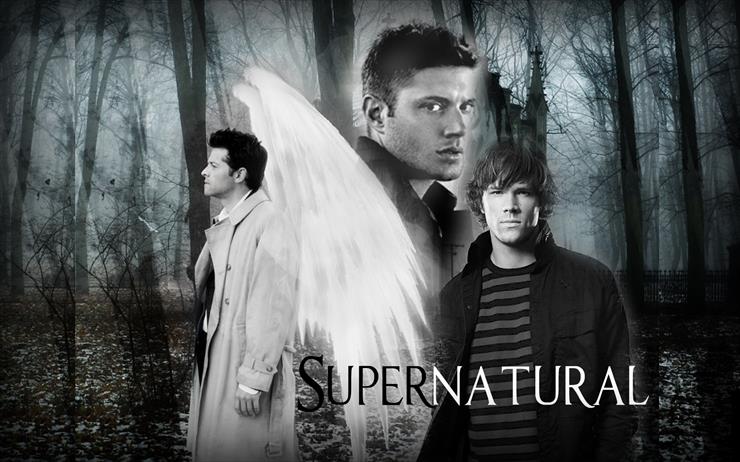  SUPERNATURAL 1-15TH 2005-2020 - Supernatural_3.jpeg
