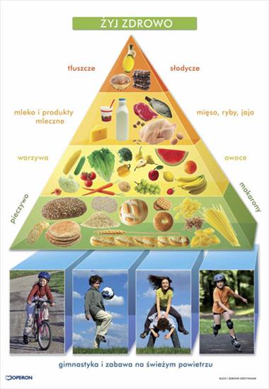 zdrowie vs medycyna - Operon - piramida żywieniowa.jpg