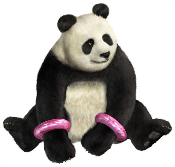 Tekken 5 - Panda.jpg